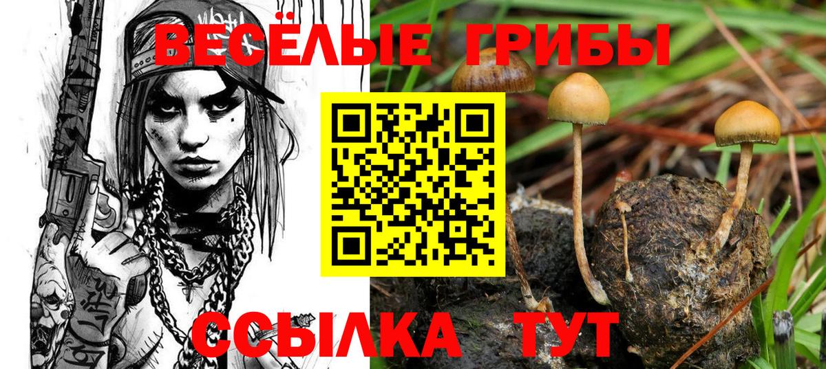 Приморско-Ахтарск  Псилоцибиновые грибы MAGIC MUSHROOMS  Псилоцибиновые грибы Psilocybe  наркотики  Вход с VPN 