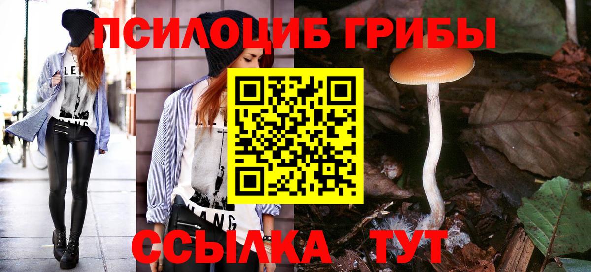 Галлюциногенные грибы Cubensis Приморско-Ахтарск